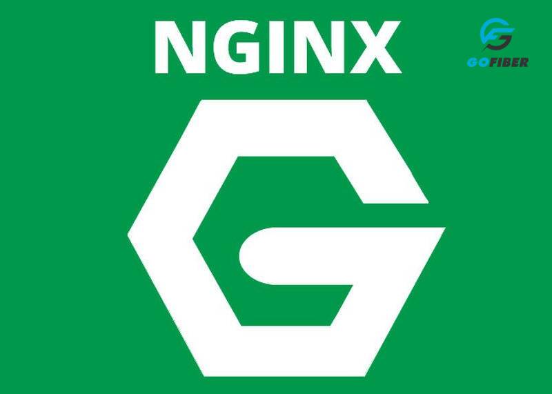 NGINX là web server phổ biến được nhiều doanh nghiệp lựa chọn hiện nay