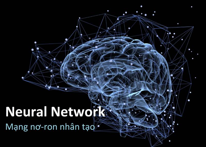 Neural network là gì? Tổng quan về neural network có thể bạn cần biết