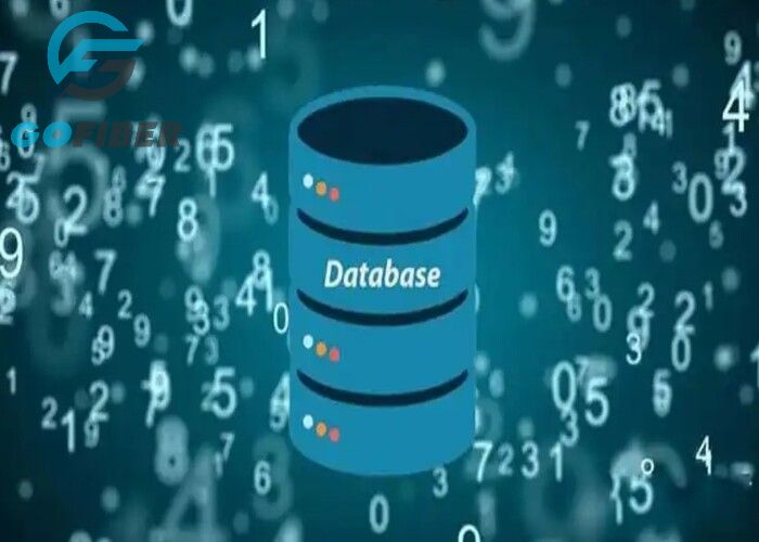 Cấu trúc cơ sở dữ liệu là gì