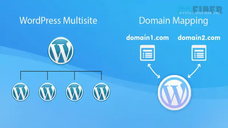 WordPress Multisite là gì?