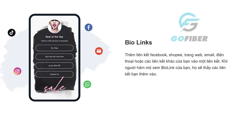 Bio link là gì