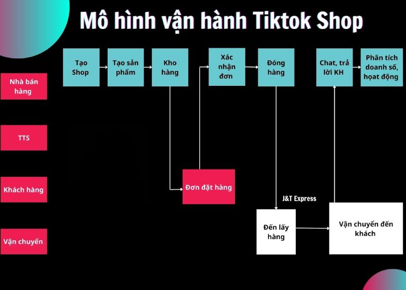 Mô hình bán hàng của Tiktok shop