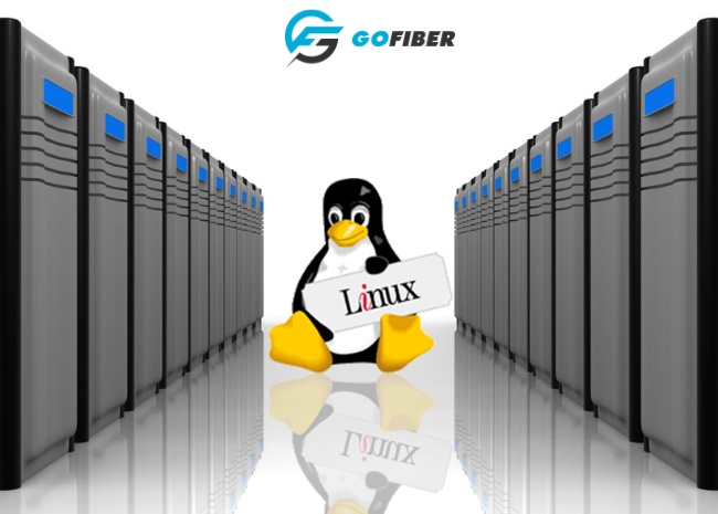 cloud hosting linux là gì