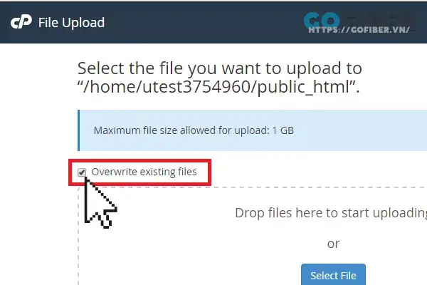 Check vào ô cho phép ghi đề lên nếu file đã tồn tại