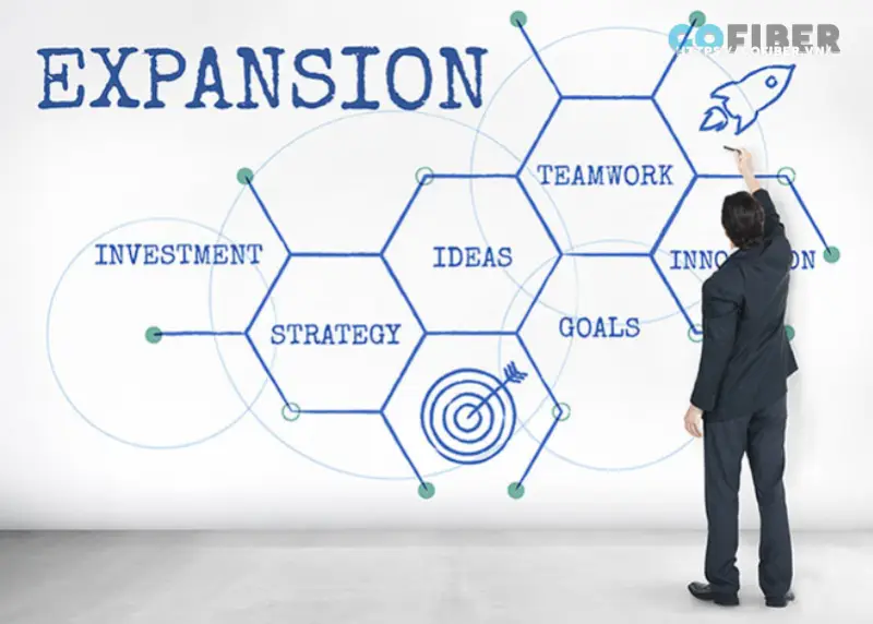Internal Expansion đòi hỏi doanh nghiệp phải tự phát triển nội bộ