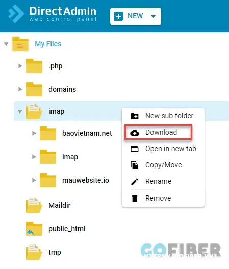 Download thư mục của File Manager trong DirectAdmin