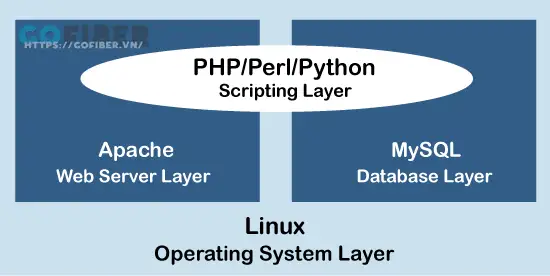 PHP, Perl hoặc Python là 3 loại ngôn ngữ được sử dụng để phát triển LAMP