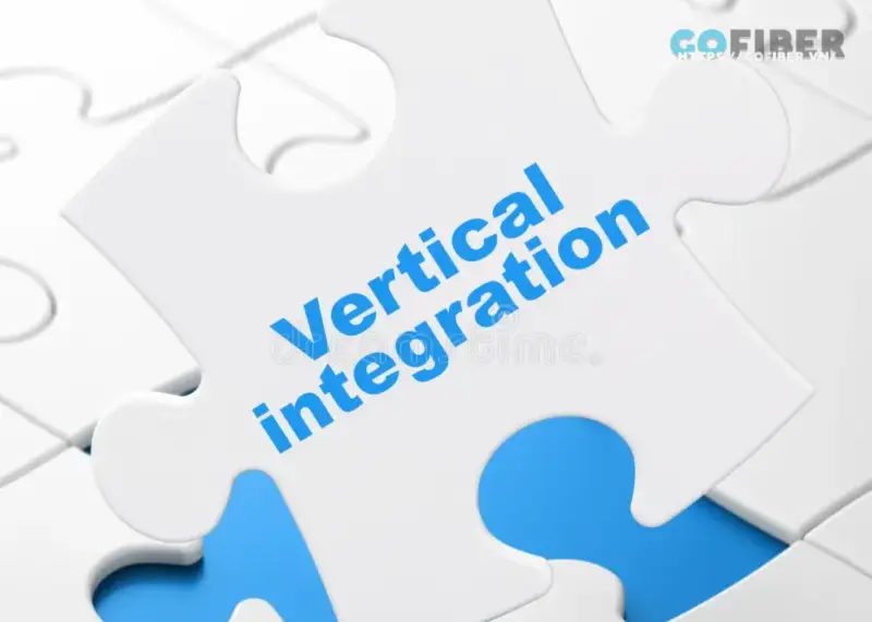 Một số nhược điểm của Vertical integration