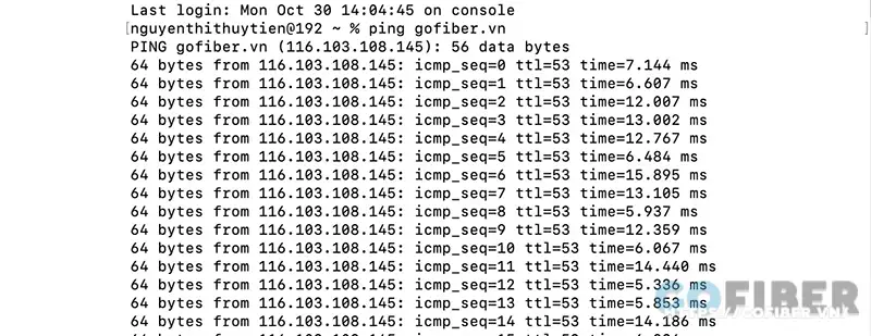 Mở ứng dụng Terminal nhập lệnh ping gofiber.vn và nhấn phím Space