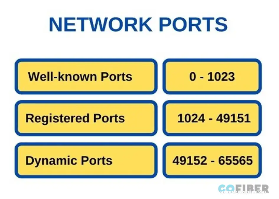 Các loại port phổ biến hiện nay