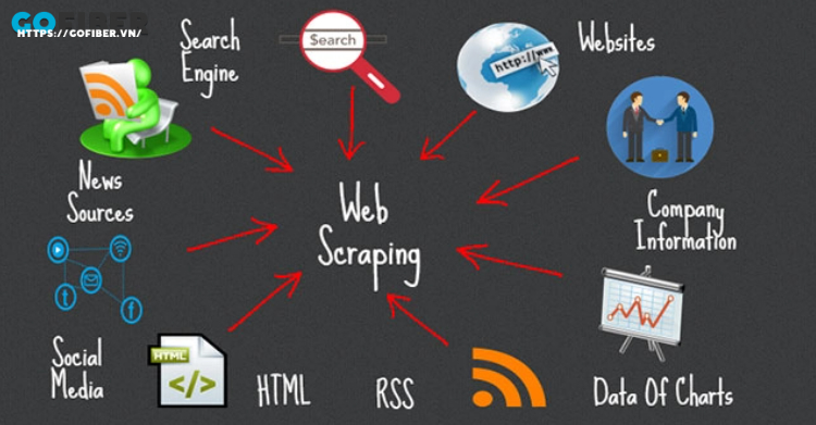 Có rất nhiều loại web scraping trên thị trường