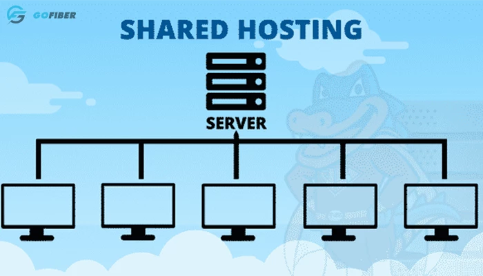Shared Hosting sử dụng nhiều trang web trên cùng một máy chủ vật lý. Tất cả domain đều dùng chung một máy chủ như CPU và RAM.