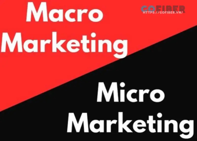 So sánh Macro Marketing và Micro Marketing