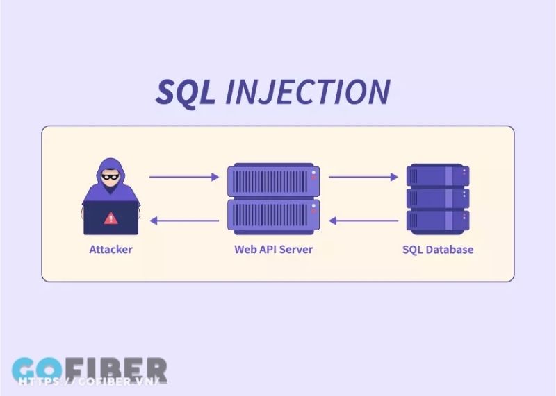 Các phần dễ bị tấn công bằng kỹ thuật SQL Injection